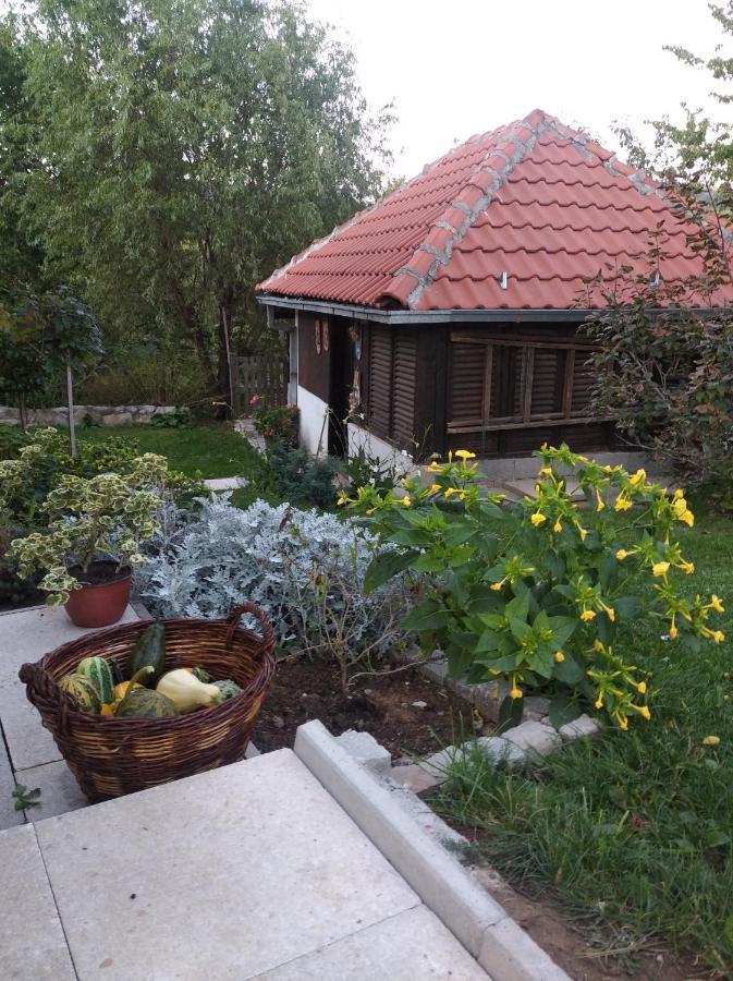 Apartman Civovic Rudnik Extérieur photo
