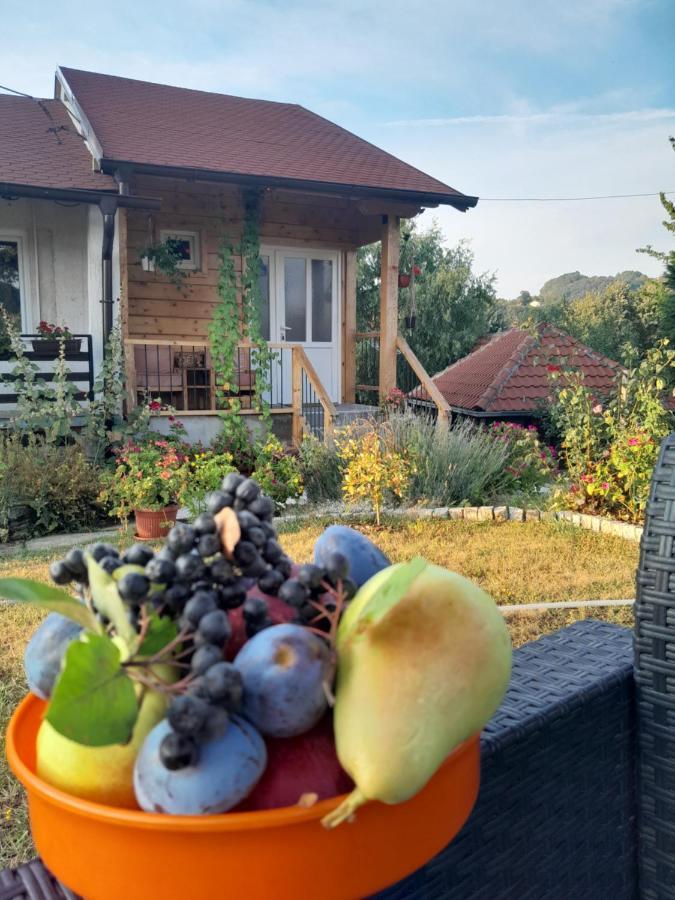 Apartman Civovic Rudnik Extérieur photo